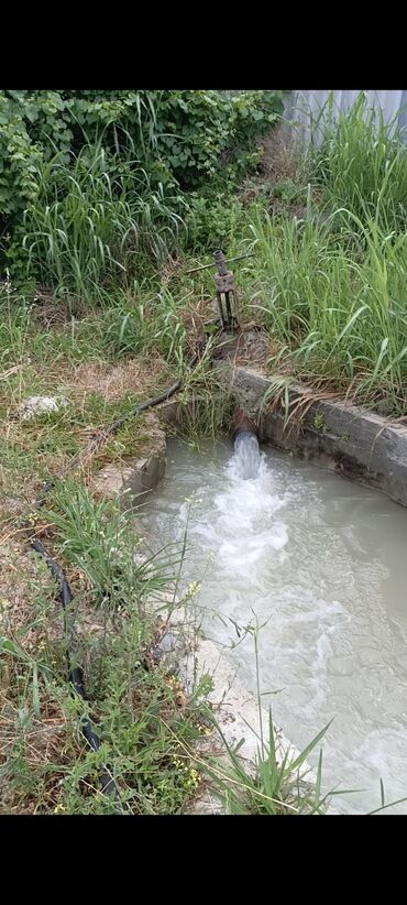 Torpaq sahələrinin satışı: 243 sot, Kənd təsərrüfatı, Mülkiyyətçi, Kupça (Çıxarış) — 11