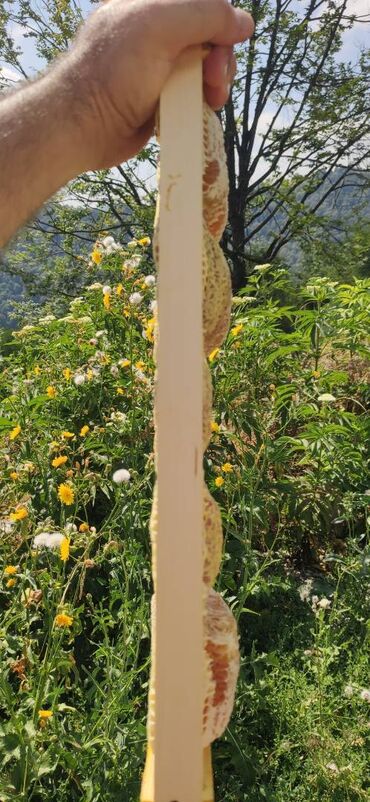 Bal: ELF BEE'S 1977 ECO-PRODUCT FOR HEALTH AND LONGEVITY Tovuzun -da lalafo.az — 18 Bal: ELF BEE'S 1977 ECO-PRODUCT FOR HEALTH AND LONGEVITY Tovuzun — 18