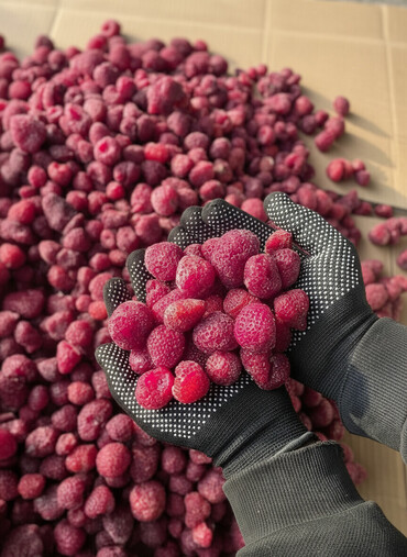 Клубника: Клубника — 1