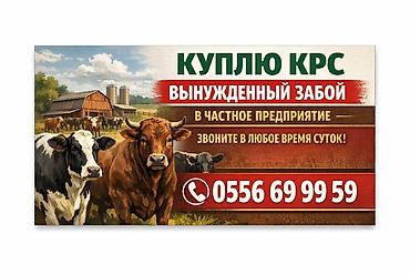 карова с теленком: Работаем 24.7 — 1