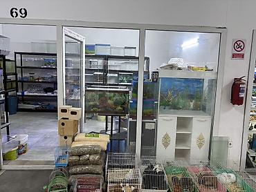 100 l akvarium: Akvaryum və ev heyvanları üçün ixtisaslaşmış dükan – bölmə 69 Təklif — 1