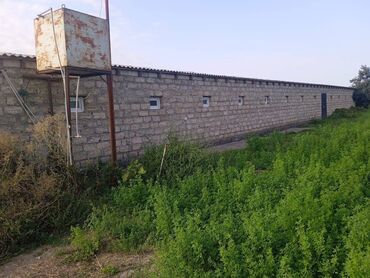 Torpaq sahələrinin satışı: 40 sot, Kənd təsərrüfatı, Mülkiyyətçi, Kupça (Çıxarış) — 14