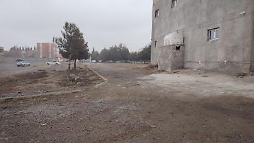 quba obyekt: 5 sot, Tikinti, Barter mümkündür, Kupça (Çıxarış) — 4