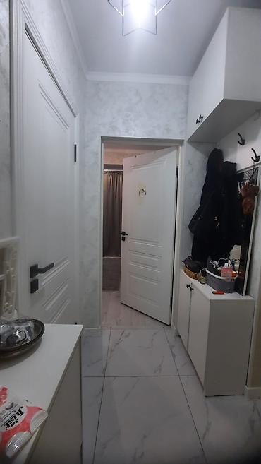 Продажа квартир: 1 комната, 300 м², Элитка, 4 этаж, Евроремонт — 13