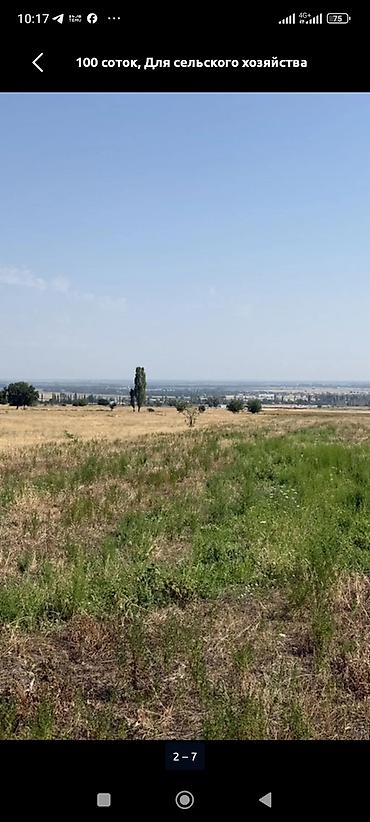 елисейские поля: 3000 соток, Для сельского хозяйства, Договор купли-продажи — 1