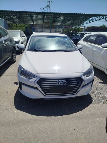 авто в рассрочку без банка без первоначального взноса в бишкеке: Hyundai Elantra: 2020 г., 1.6 л, Автоматические, Гибрид, Седан