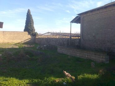 Torpaq sahələrinin satışı: 4 sot, Mülkiyyətçi, Kupça (Çıxarış) — 3