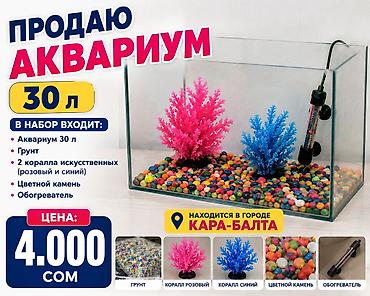 аксолотль цена: Аквариумный комплект 30 л Комплектация: - стеклянный аквариум на 30 — 1