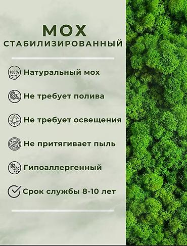 карта: Панно из стабилизированного мха Превратите ваш интерьер в — 7