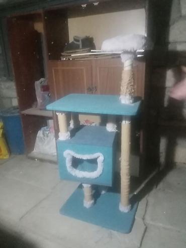 Pişik üçün çoxsəviyyəli oyun və dırmaşma məntəqəsi Tecili satilir cox