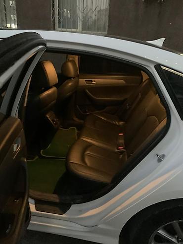 шторка соната: Hyundai Sonata: 2021 г., 2 л, Автомат, Газ, Седан — 4