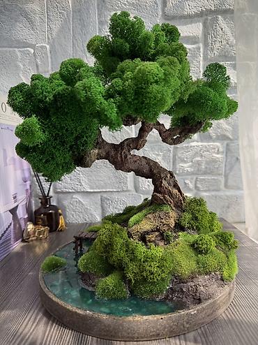 Декоративные цветы: Деревья-бонсай из натурального стабилизированного мха🌳 -это — 67