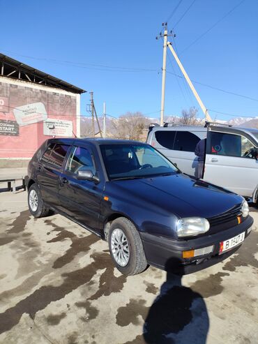 шина 19 размер: Volkswagen Golf: 1993 г., 1.6 л, Механика, Бензин, Хетчбек