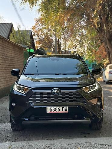 раф: Toyota RAV4: 2020 г., 2.5 л, Гибрид, Кроссовер — 1