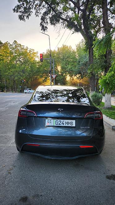 эстима левый: Tesla Model Y: 2024 г., Автомат, Электромобиль, Кроссовер — 4