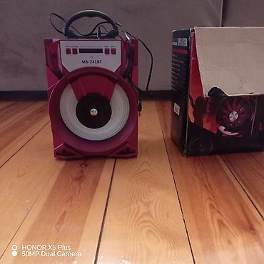 Audio: MS-241BT portativ səs gücləndiricisi - Model: MS-241BT (LED) - Növ — 3