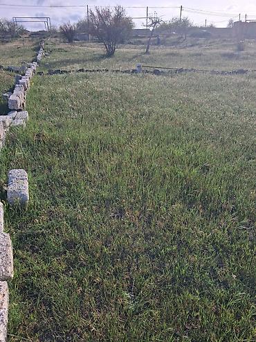nardaranda torpaq: 12 sot, Tikinti, Mülkiyyətçi, Kupça (Çıxarış) — 5