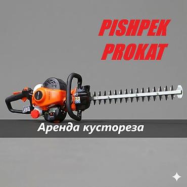 аренда сучкореза: АРЕНДА КУСТОРЕЗА кусторез аренда аренда кустореза кусторез в аренду — 1
