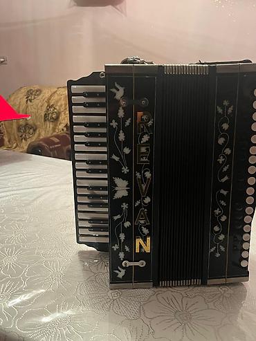 Akkordeonlar: Akustik Akkordeon — 8