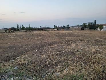 razinde torpaq satilir: 24 sot, Kənd təsərrüfatı, Mülkiyyətçi, Kupça (Çıxarış) — 4