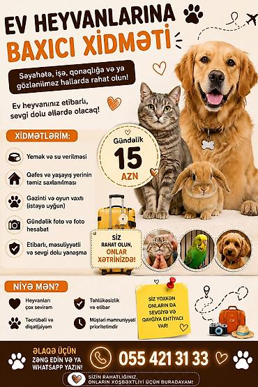 pişiklərin cütləşməsi: 🐾 Ev Heyvanlarına Baxıcı Xidməti 🐾 Salam! Ev heyvanlarını — 1