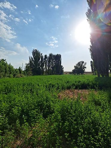 кредит акча: 22 соток, Для строительства, Тех паспорт — 7