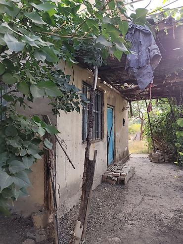 Продажа времянок: Продаю дачу. Расположена недалеко от села Кунтуу. Площадь участка — 17