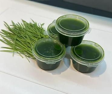 батва удалитель: Витграс Сок из ростков пшеницы 100 процентов (wheatgrass) витграс — 1