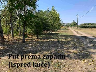 Kuće na prodaju: Prodaje se kuća/salaš u Hajdukovu na parceli od 3,5 jutra zemlje — 11