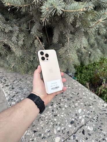 Apple iPhone: IPhone 16 Pro Max, Б/у, 256 ГБ, Desert Titanium, Кабель, Зарядное устройство, Защитное стекло, В рассрочку, 100 %