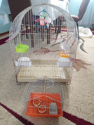 Qəfəslər: Quş qəfəsləri dəsti - 2 ədəd metal qəfəs: biri böyük, biri kiçik — 1