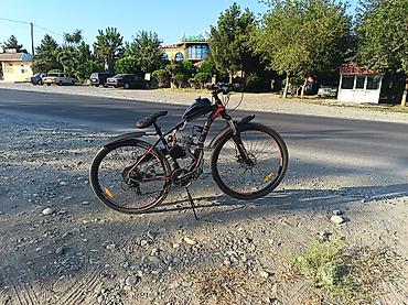trek marlin 4: Yeni Şəhər velosipedi Bergamont, 29", sürətlərin sayı: 10, Ünvandan götürmə — 1