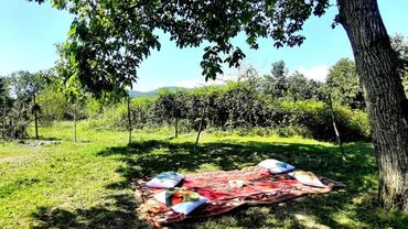 Bağ evlərinin satışı: Qəbələ, 170 kv. m, 6 otaqlı, Qaz, İşıq, Su — 16