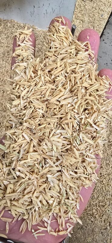 qab gülü: Düyü qabığı – cəmi 20 qəpik! 🌾 Təmiz, təbii və keyfiyyətli düyü qabığı
