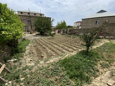 qubada evler: 6 sot, Tikinti, Bələdiyyə at lalafo.az qubada evler: 6 sot, Tikinti, Bələdiyyə