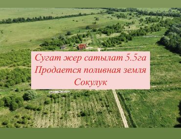 арчалы участок: 550 соток, Айыл чарба үчүн, Кызыл китеп, Техпаспорт