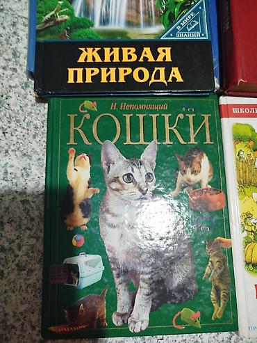 Иностранные языки: Человек и общество 5 класс.Кыргыз адабияты 5 класс. математика 5класс — 7
