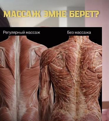 Массаж: Массаж | Лечебный массаж | Холка на шее — 4