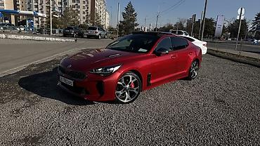 Kia: Kia Stinger: 2019 г., 2 л, Автомат, Бензин, Хэтчбэк — 6