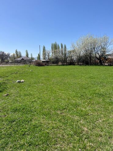 Продажа участков: 10 соток, Для строительства, Красная книга at lalafo.kg — 7 Продажа участков: 10 соток, Для строительства, Красная книга — 7