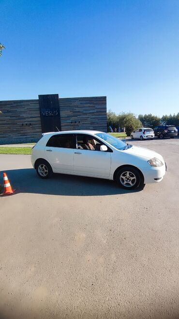 срочно срочно продам машину: Toyota Allex: 2003 г., 1.5 л, Автоматические, Бензин, Хэтчбэк