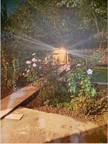 Həyət evləri və villaların satışı: 3 otaqlı, 78 kv. m, Kredit yoxdur, Yeni təmirli -da lalafo.az — 11 Həyət evləri və villaların satışı: 3 otaqlı, 78 kv. m, Kredit yoxdur, Yeni təmirli — 11