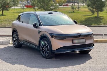 я ищу машину: Zeekr 7X: 0.1 - engine capacity л | 2024 г. Кроссовер