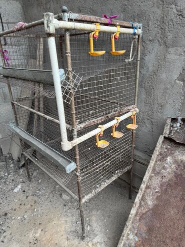 Товары и оборудование для с/х животных: Продается клетка для перепелок — 4