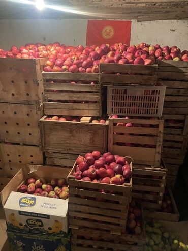 куплю мебел бу: Яблоки