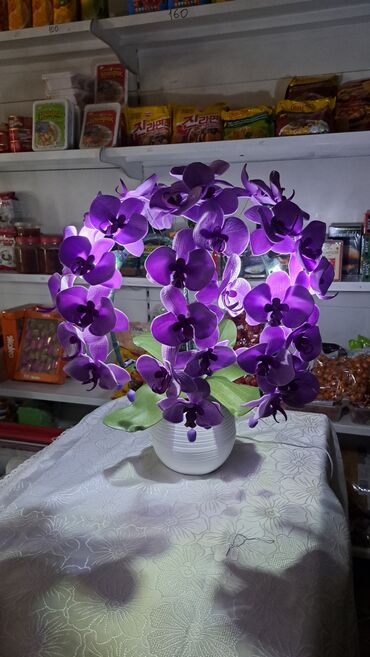 Утепленные жилеты: Орхидея 
Орхидея светильник 
Цветы Бишкек
Светильник 
Ручнаяработа — 9