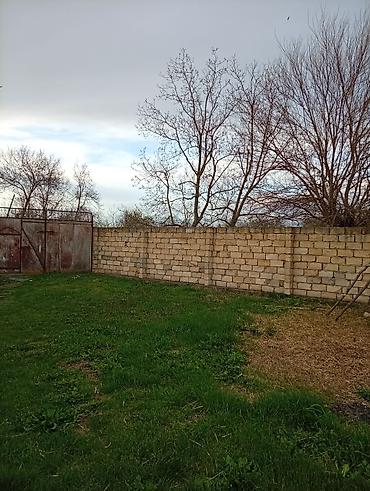 Torpaq sahələrinin satışı: 38 sot, Tikinti, Mülkiyyətçi, Kupça (Çıxarış) — 16