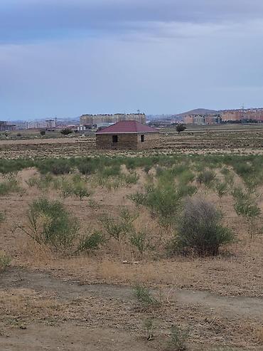 Torpaq sahələrinin satışı: 5 sot, Kupça (Çıxarış) — 2