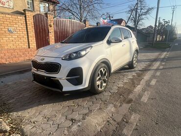 Kia: Kia Sportage: 2019 г., 2 л, Автомат, Дизель, Внедорожник