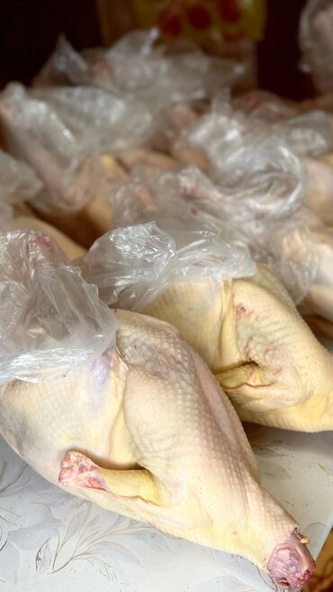 Птица: Индюк :, 4 кг, 5 кг, 6 кг, Самовывоз, Платная доставка — 1